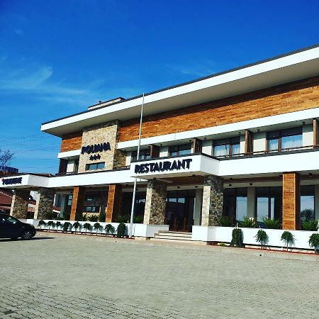 Pensiunea Poliana Costesti  Exterior foto